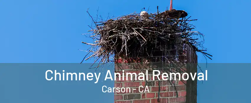 Chimney Animal Removal Carson - CA