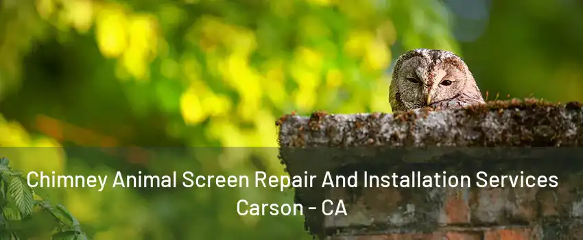 Chimney Animal Screen Repair And Installation Services Carson - CA