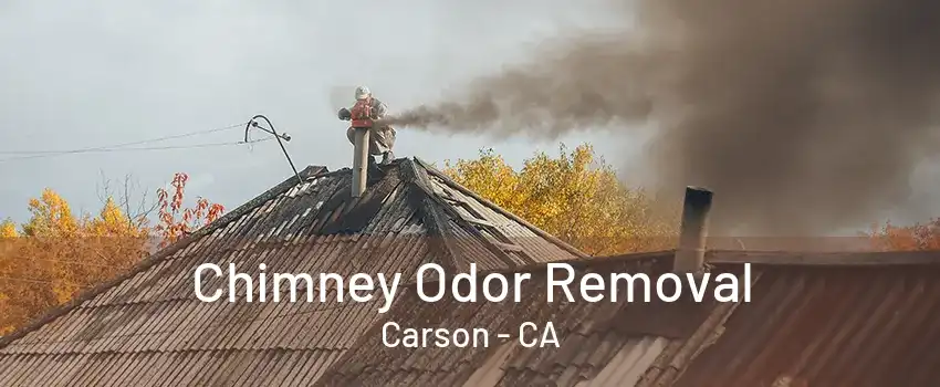 Chimney Odor Removal Carson - CA