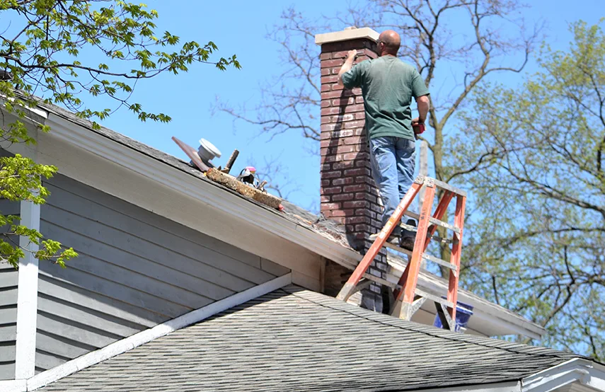Chimney & Fireplace Inspections Services in Carson