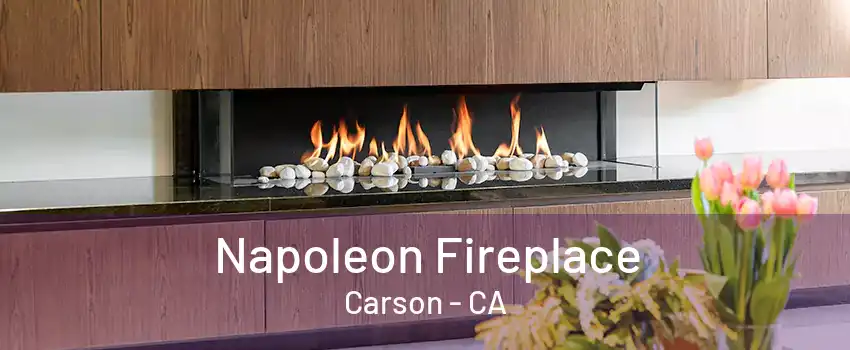 Napoleon Fireplace Carson - CA